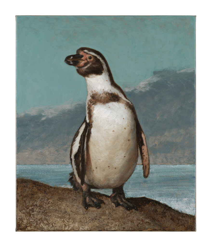 Max Renneisen „Humboldt-Penguin V“